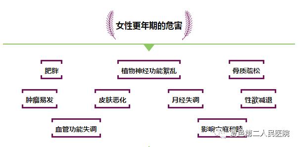 健康讲堂百病食疗,健康讲座老年健康