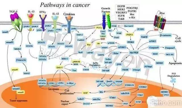 刘谦：我不担心奥希替尼上市后的业绩，我担心的是……