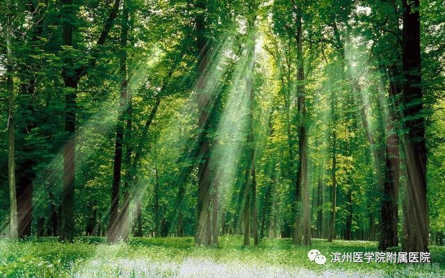 高压氧治疗煤气中毒,高压氧对一氧化碳中毒的疗效