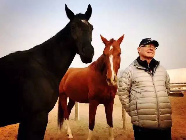 马术运动对身体有哪些益处,马术是一项高雅的运动