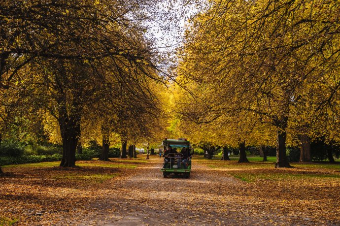 到新西兰旅游有什么好处,新西兰旅游有什么好