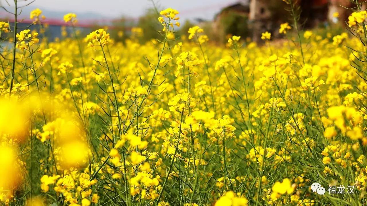 人生，难免因果重重：《易本道》第19期