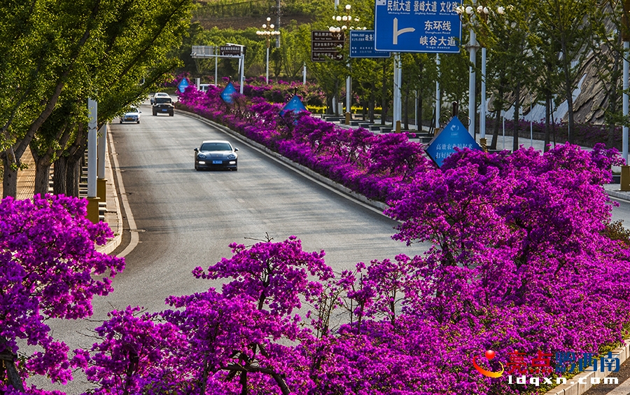 兴义气候最好的城市,兴义小春城