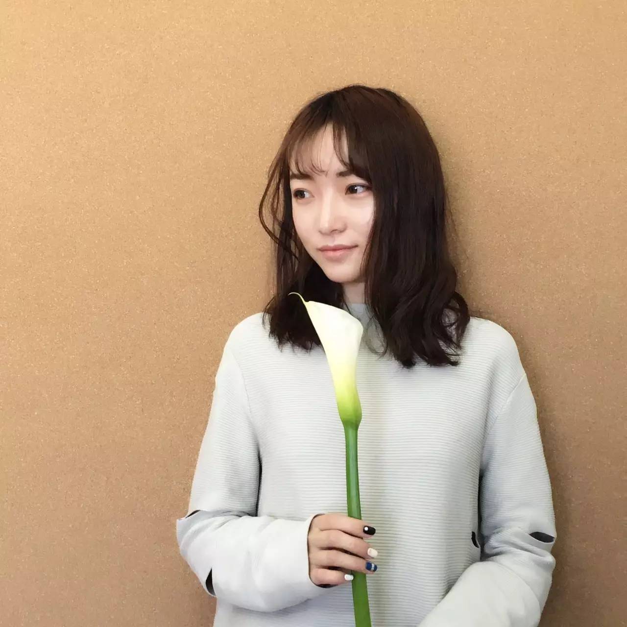 四月博物馆课程｜等看遍大英世界史和齐白石真迹，我们去故宫、北大踏青吧！