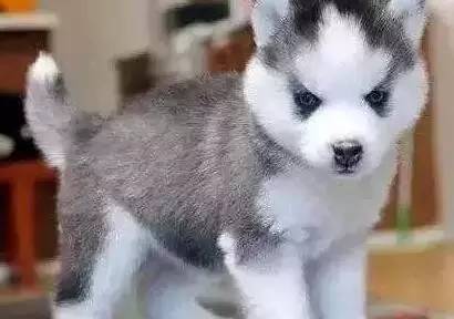 原谅我这一生不羁放纵完整版,原谅我这一生不羁放纵群星版