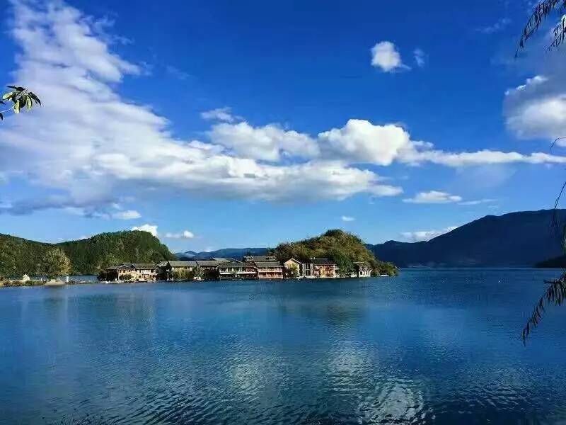 勇敢不是一味的追求而是放弃,人生在于勇敢和选择