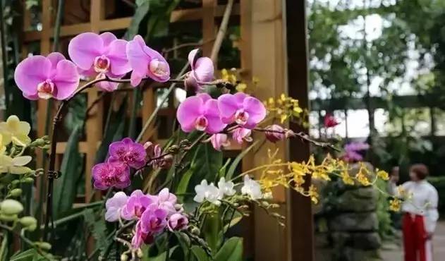 上海降温下雨了吗最近,上海降温最新通知