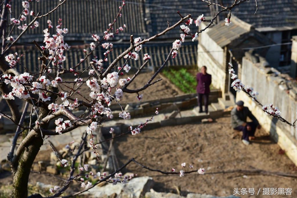 濞佹捣涔冲北妯辨,灞变笢涔冲北妯辨
