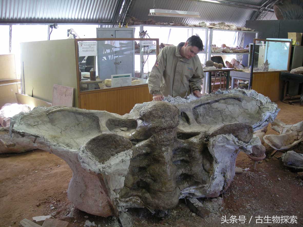 能源巨龙——富塔隆柯龙