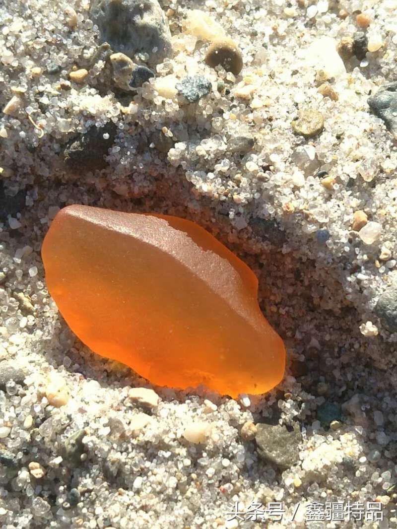 金丝玉宝石光在哪捡,捡金丝玉海蓝宝石的地方