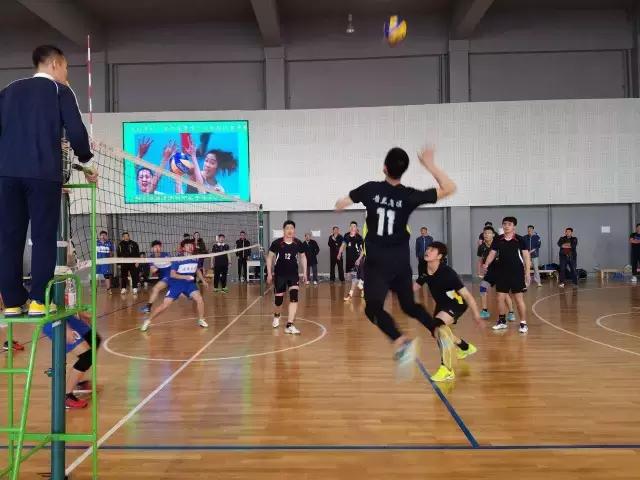 辽宁男排超级联赛第八轮,辽宁男排联赛完整版