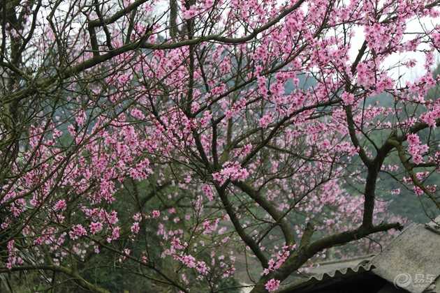 长安悦翔v72015款1.6自动乐享型,长安悦翔v7保养攻略