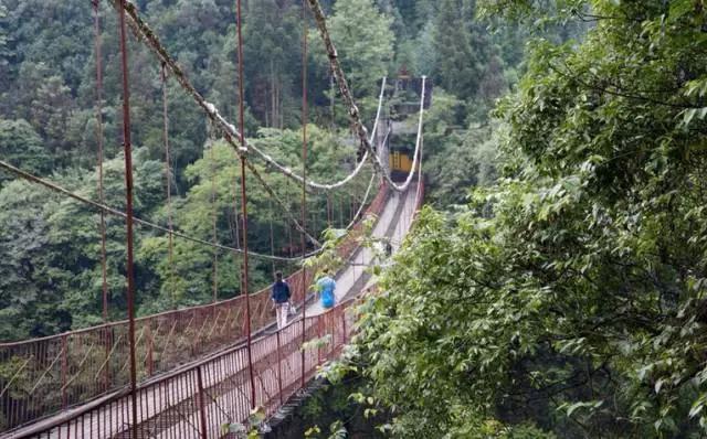 成都附近一小时氧吧,成都周边森林免费氧吧推荐
