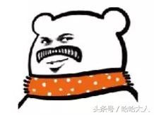 狗狗撕家怎么管教,狗狗撕家视频