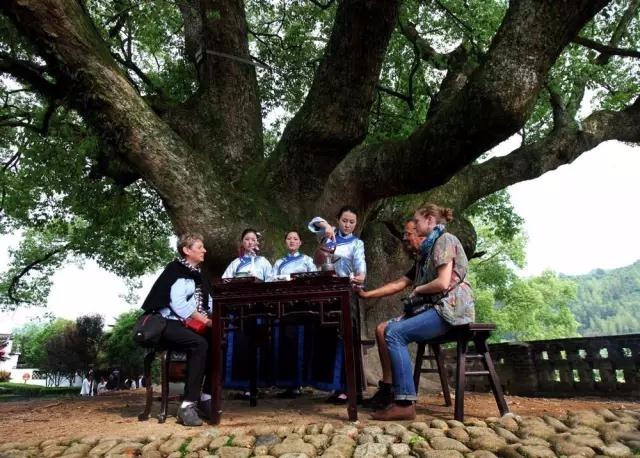 婺源绿茶,婺源绿茶千元以上啥茶