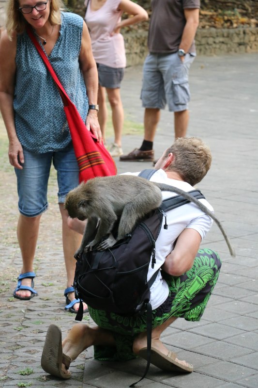 巴厘岛2天自由行,巴厘岛十一天自由行