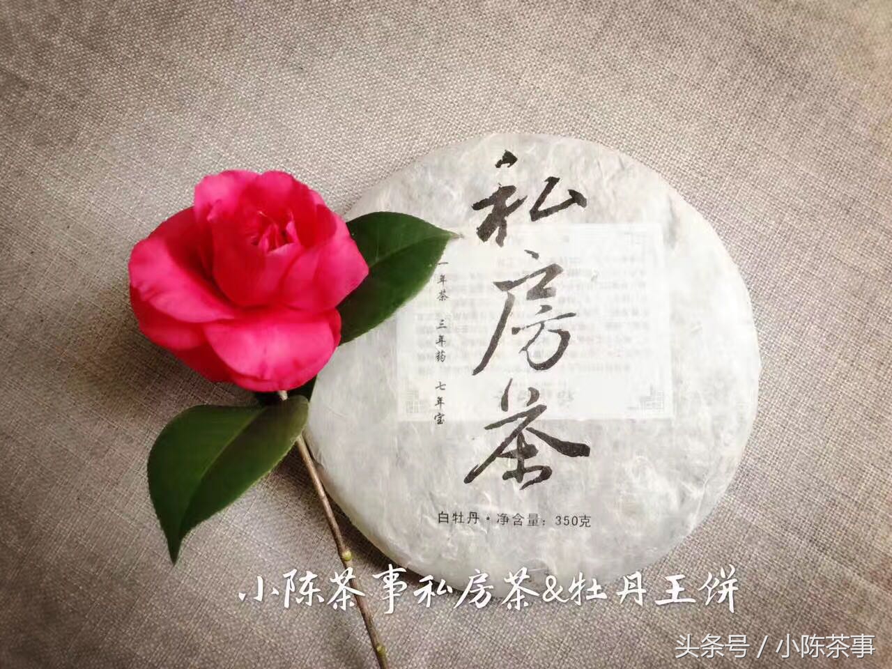 鏄ユ棩澶氬彂鐥呯棁,鏄ユ棩鐤剧梾棰勯槻