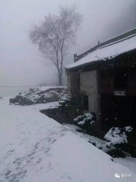 揭秘终南山隐士纪录片,探访终南山隐居的真实的生活