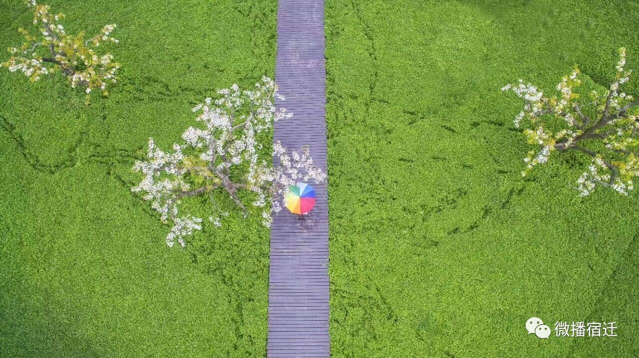 宿迁在宿迁人眼中,宿迁到底有多好