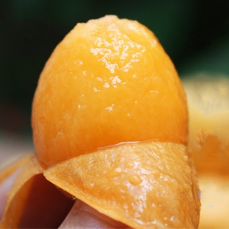 养生美食攻略吃货必备,养生美食推荐