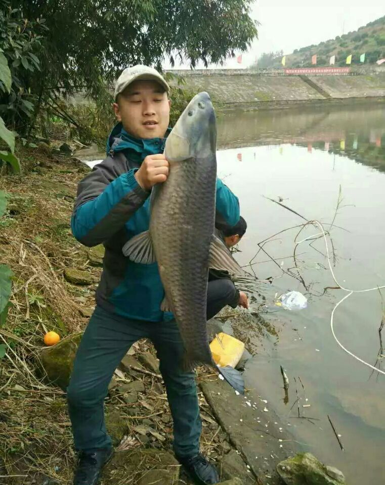 北方春季野钓鲫鱼技巧,为什么北方春季野钓不好钓