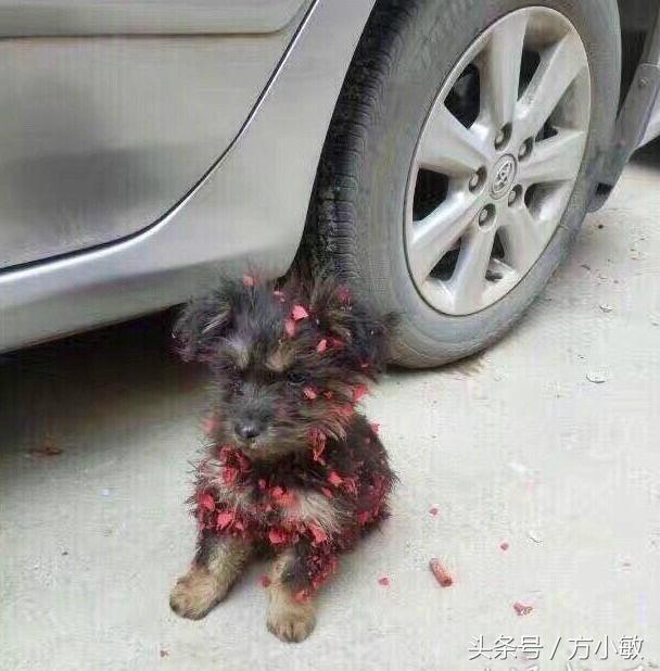 切洋葱熏眼睛,切洋葱搞笑段子