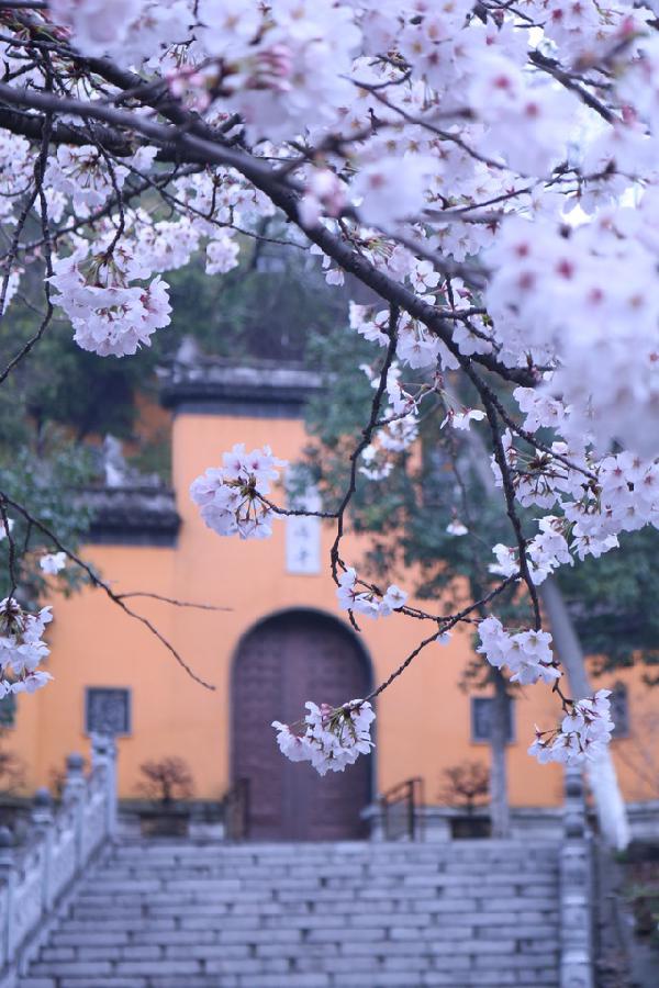 南京本周末好去处,南京周末活动推荐