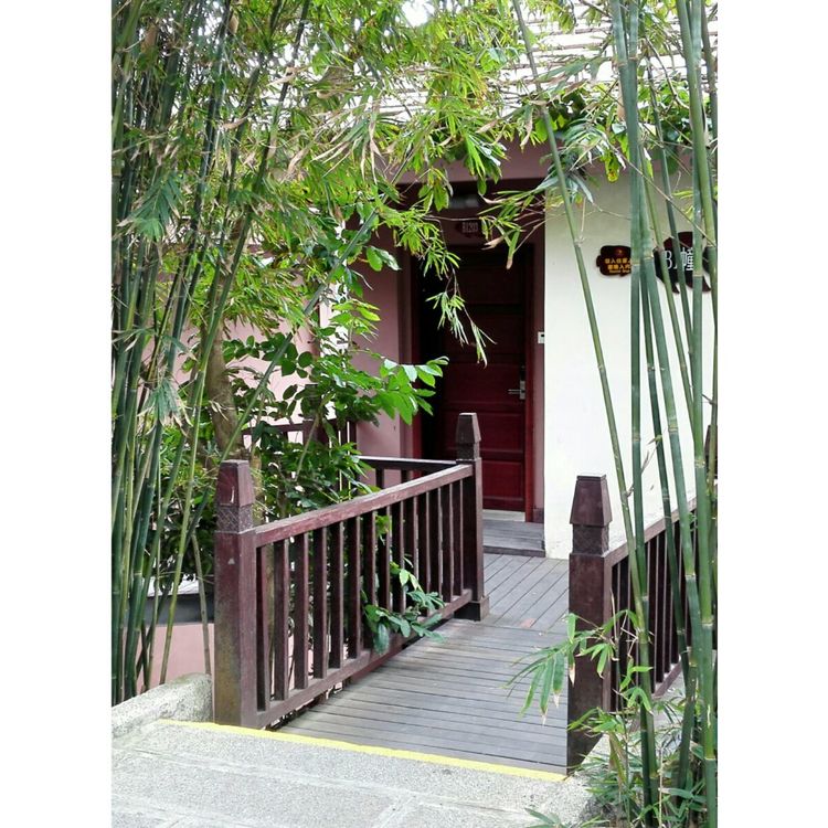 海南之旅感悟,海南行的点滴回忆