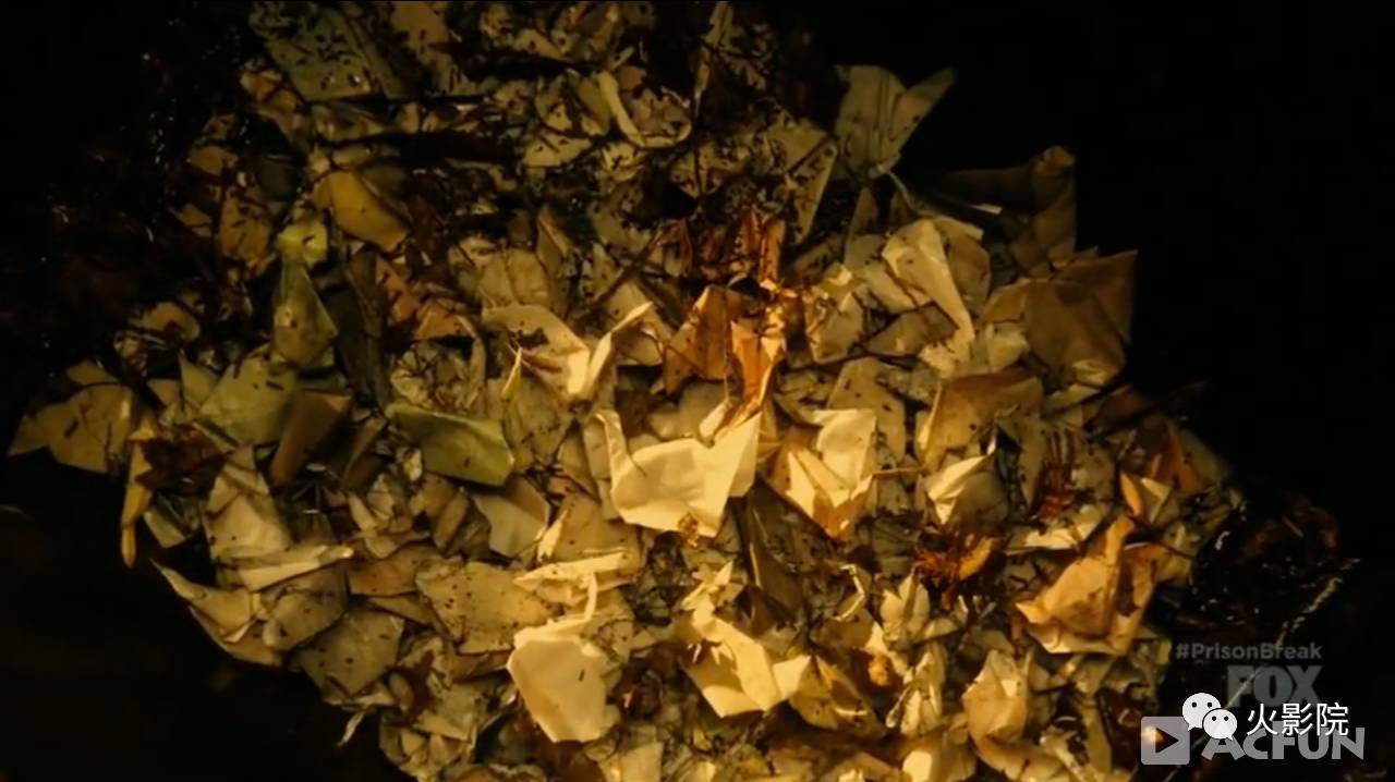 越狱第五季全解读7,越狱第五季评分