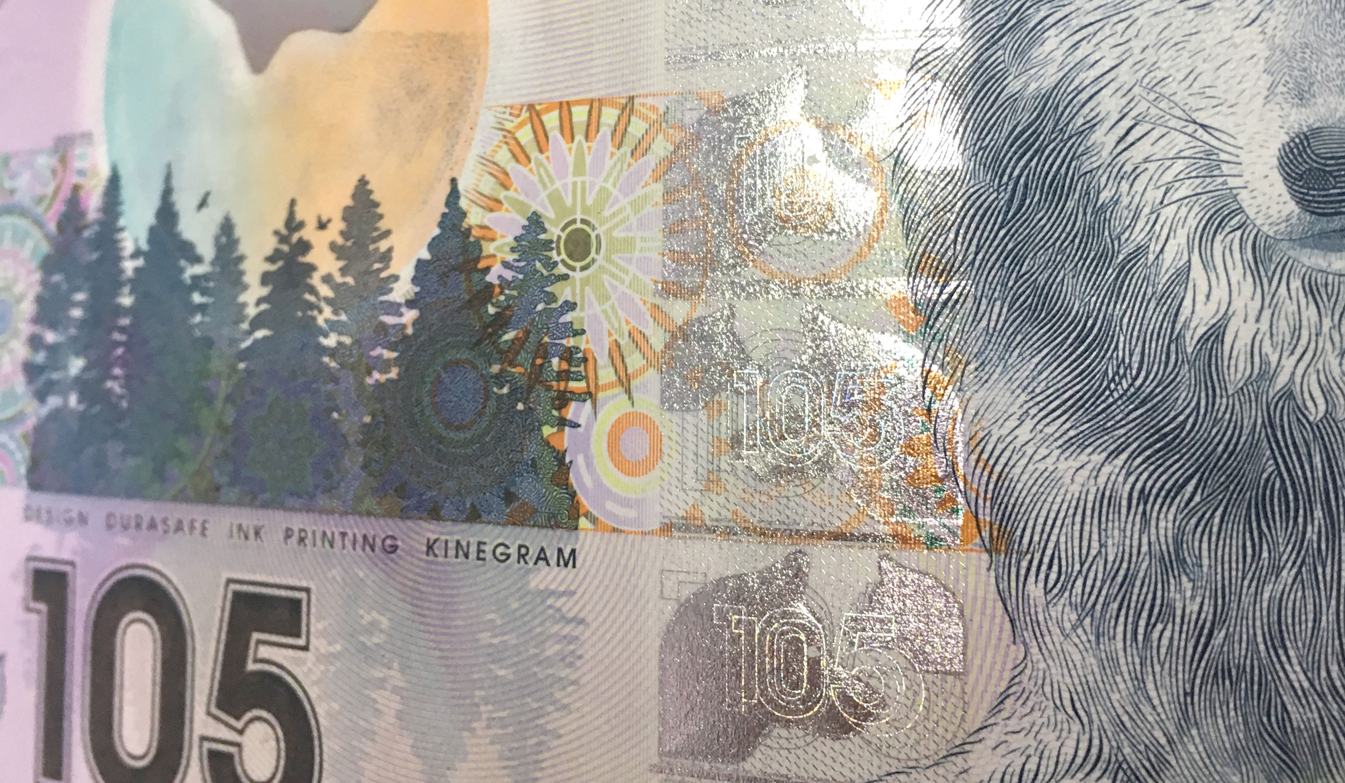 从“狼钞”引伸开来