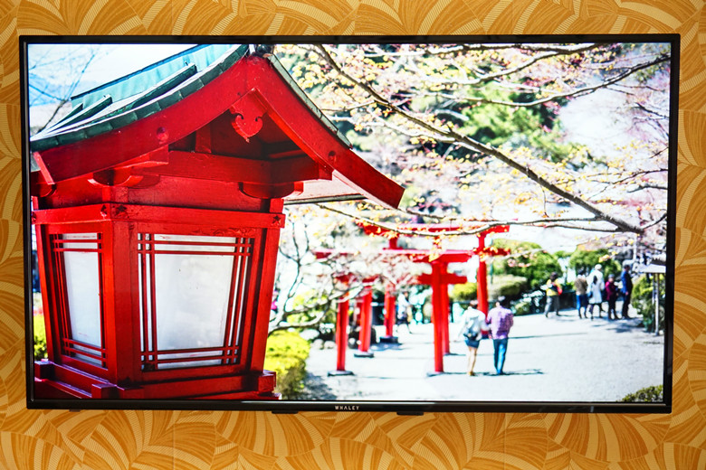 最新微鲸电视55寸,微鲸45寸电视