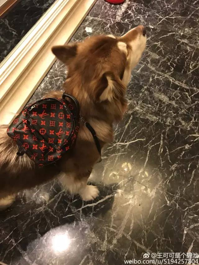 顶级豪车豪宅,豪宅豪车那么有吸引力吗