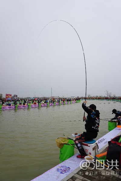 泗洪洪泽湖国际垂钓大赛开幕,泗洪洪泽湖大圆塘休闲垂钓邀请赛