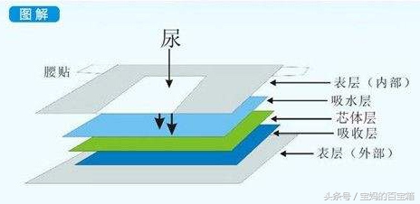 纸尿裤欧洲,纸尿裤使用误区和谣言