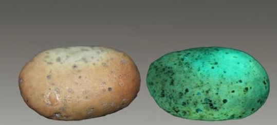 古代历史中的夜明珠,古代王侯将相的把玩物件