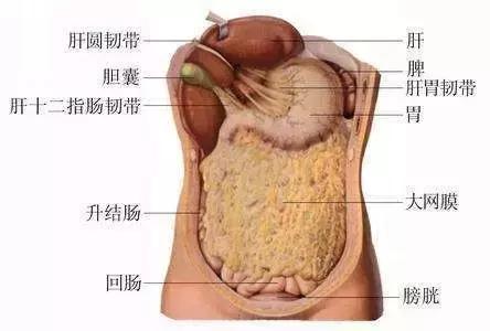 怀孕四个月了查出阑尾炎,怀孕了得了阑尾炎怎么办