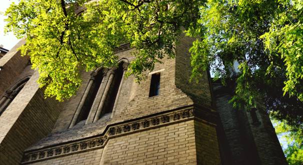 天津最值得去的免费景点,最新天津值得一去的景点推荐