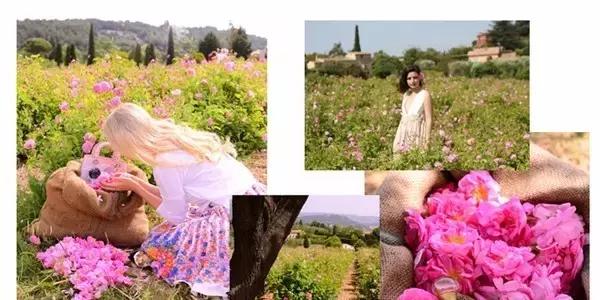 寻味格拉斯,老城下的香水之路!