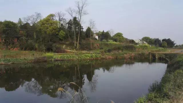 战士第二故乡原创,原创家乡