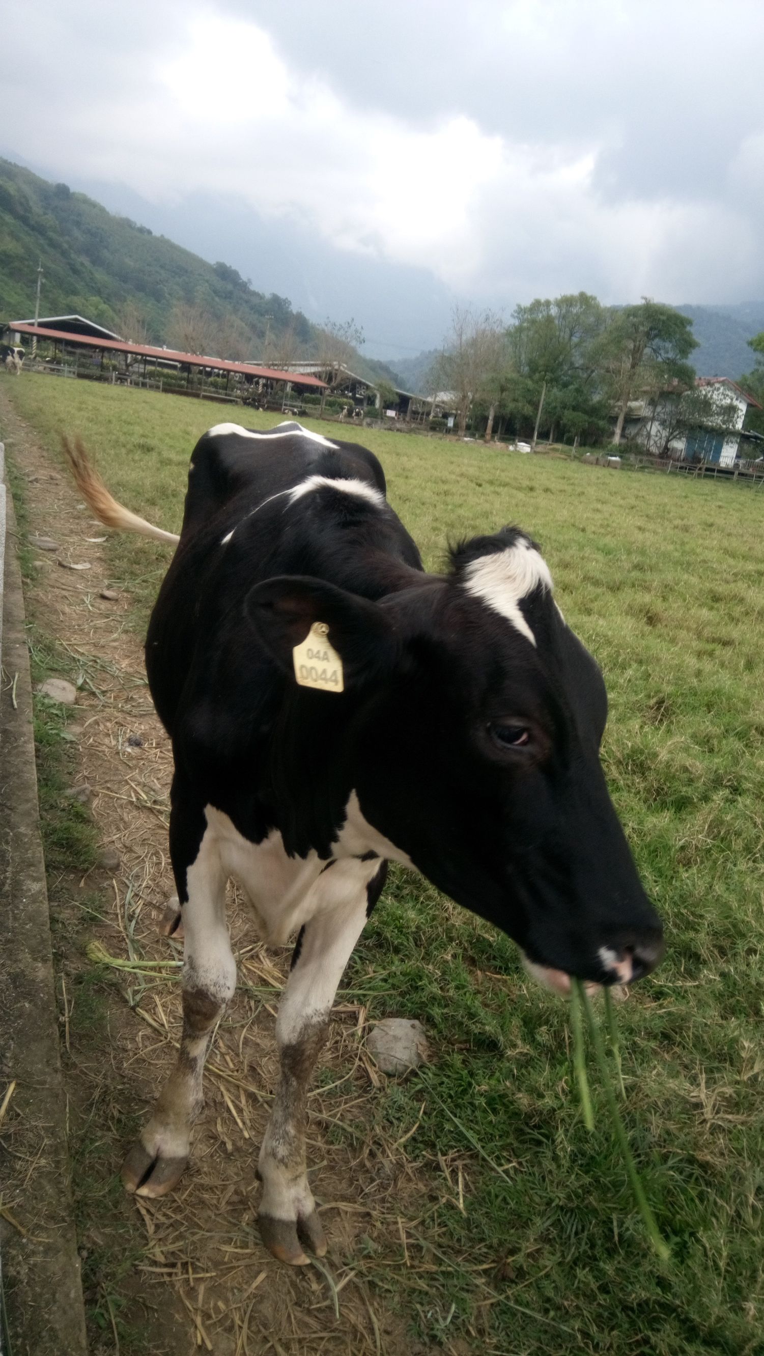 苏花公路最佳路线,苏花公路风景图