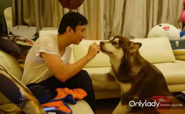 私人飞机？名牌包包？明星合影？这些宠物竟然这么大牌！