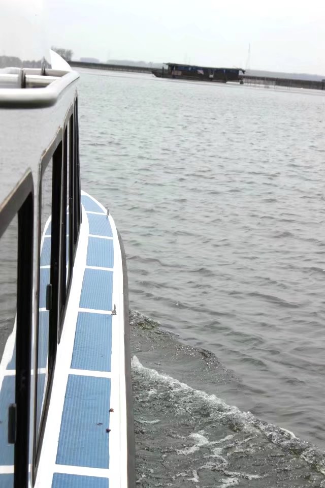 扬州湿地森林公园免费景点,扬州第一森林氧吧