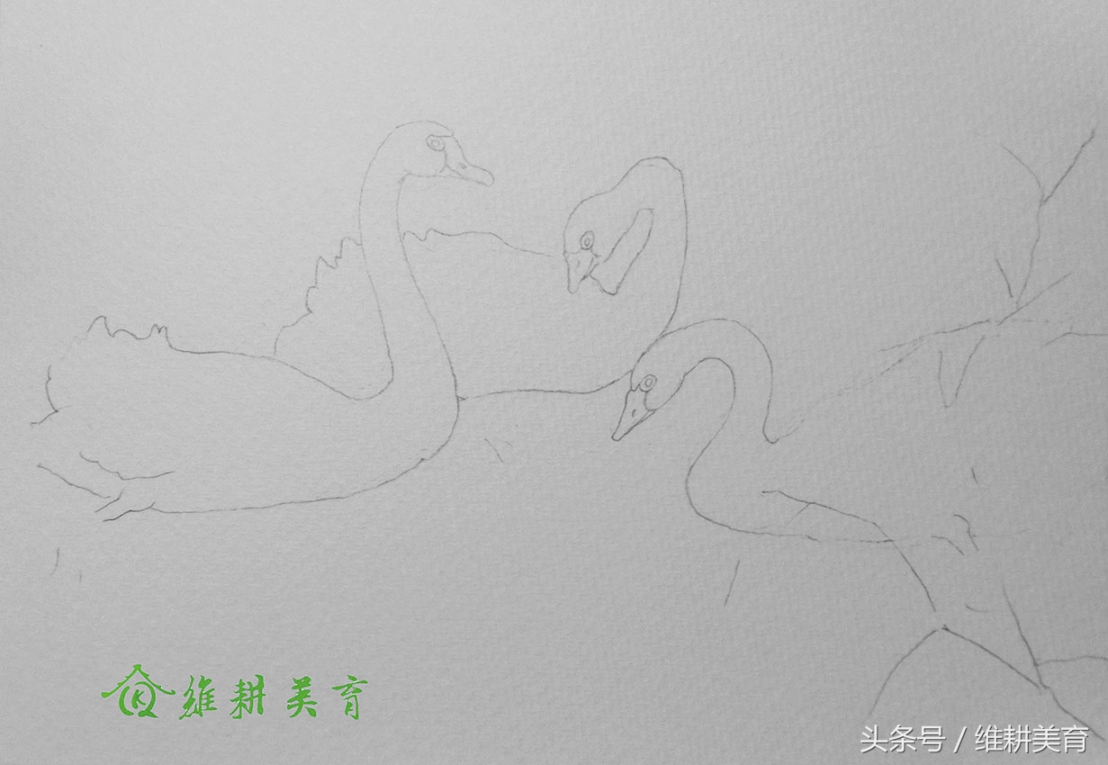 鹅鹅鹅曲项向天歌舞蹈练习,曲项向天歌绘画步骤