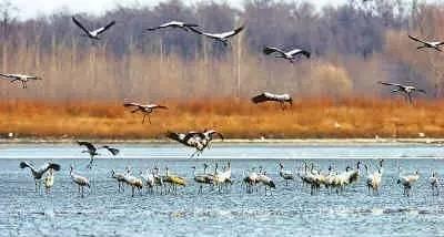 唐山国家级旅游度假区,唐山最好的旅游小镇