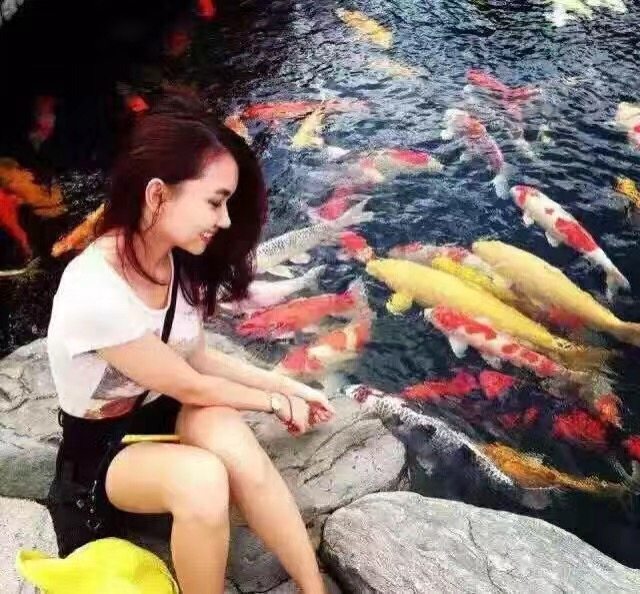 鱼池假山怎么做,假山鱼池怎么做视频