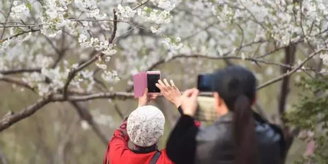 济南春游的好地方推荐,济南适合春游的地方
