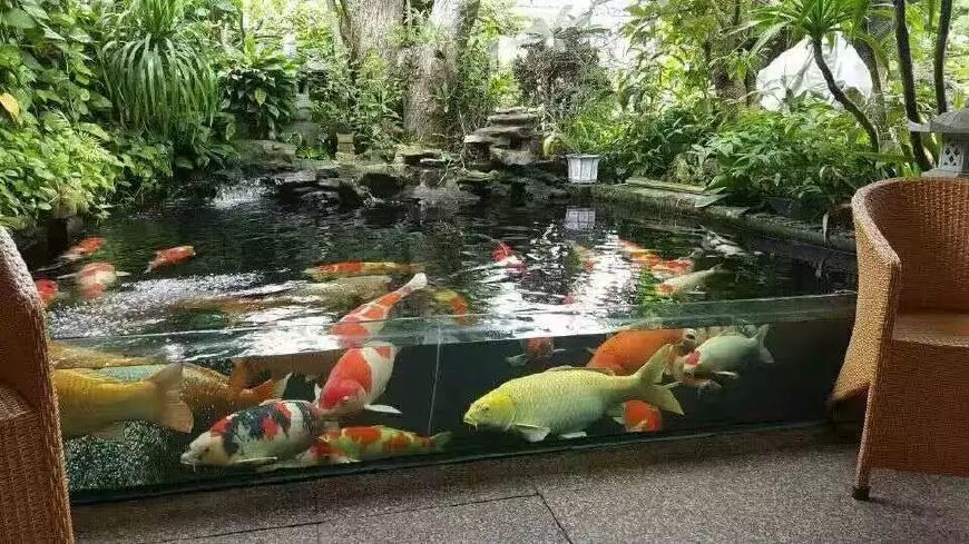 鱼池假山怎么做,假山鱼池怎么做视频