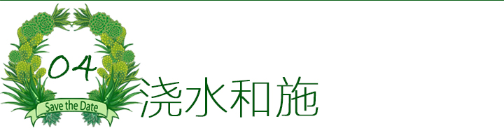 多肉植物如何防治病害,多肉植物病害处理视频