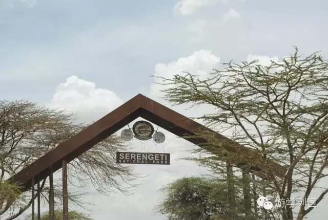 一生必去一次的非洲坦桑尼亚｜回归狂野