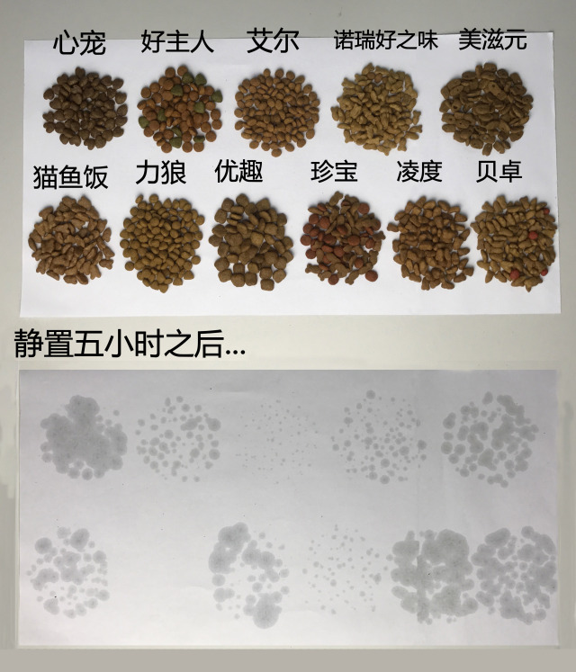 猫奴吐槽完整版,吐槽猫奴的视频